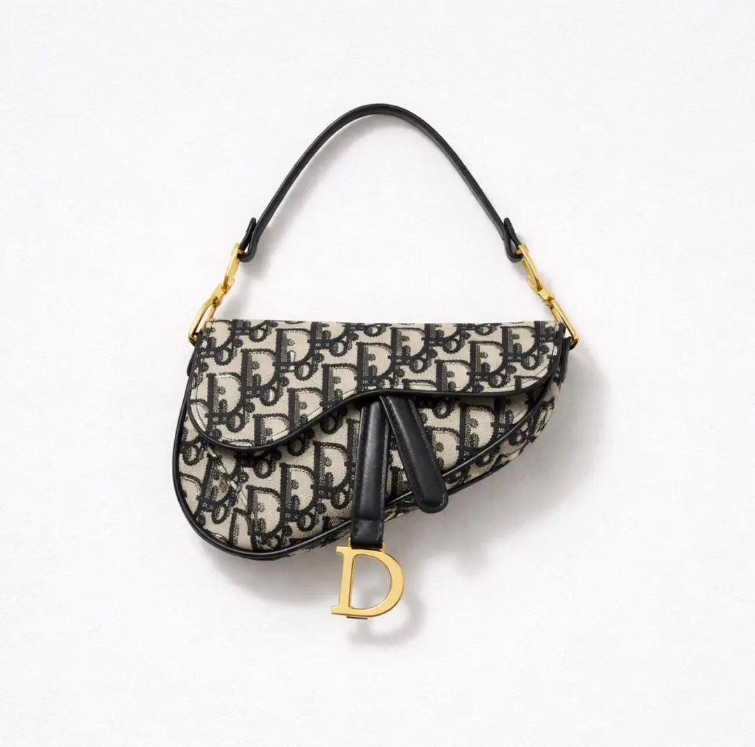 Chiristian Dior Saddle Bag With Starp Small