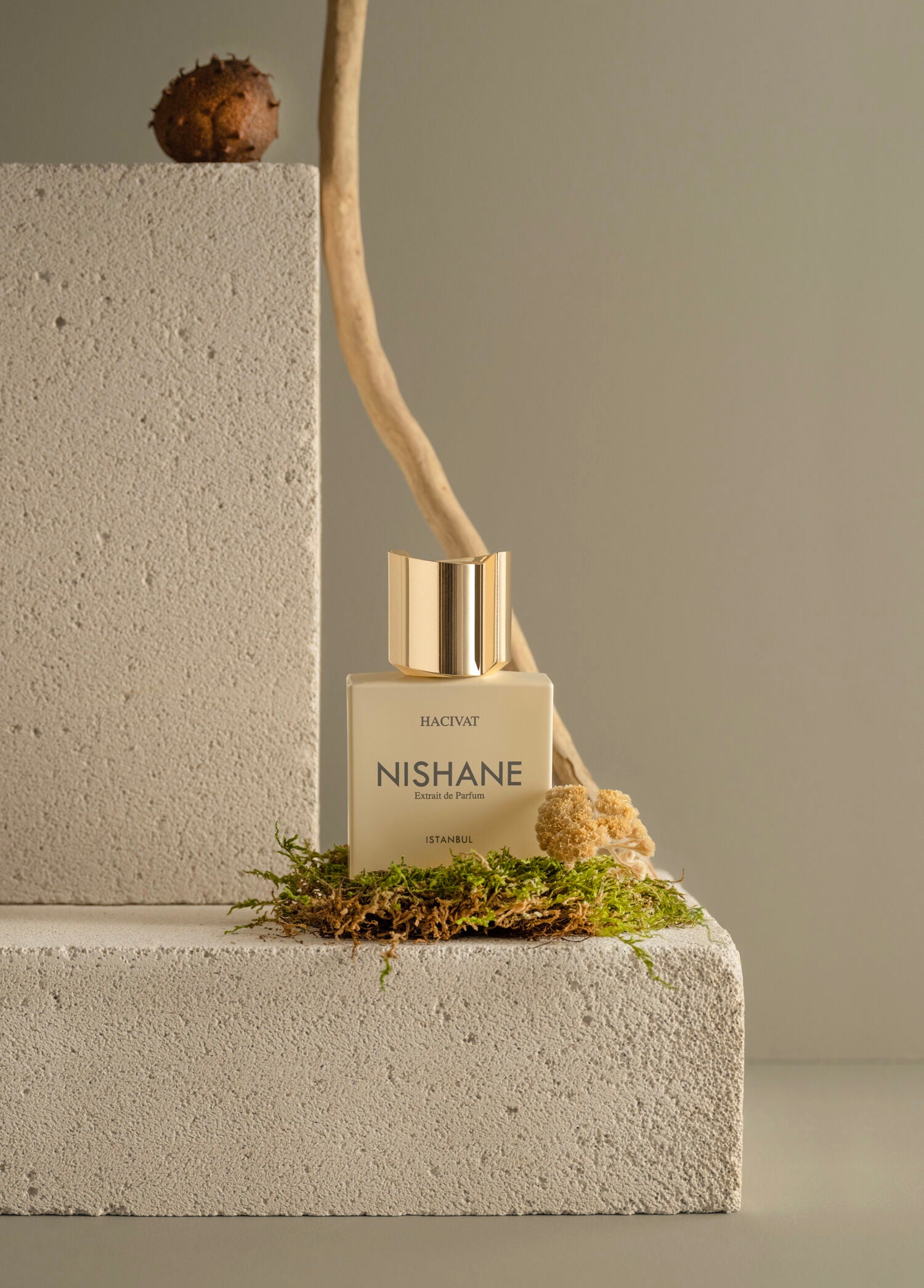 Nishane Hacivat 100 ml Parfüm - 3
