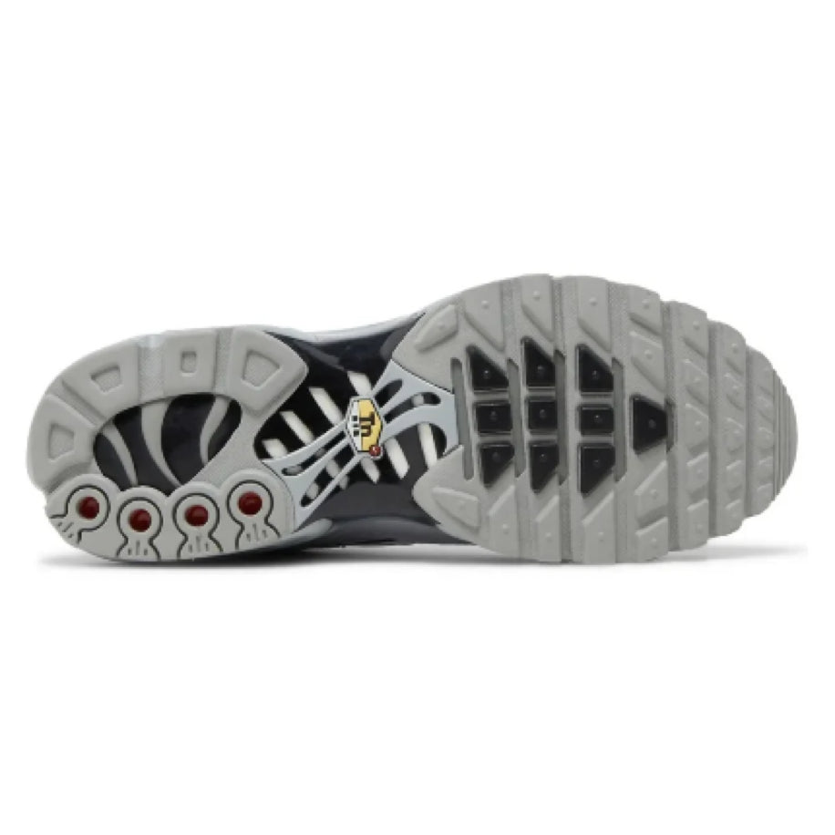 Air Max Plus Wolf Grey - 1 NUMARA DARDIR